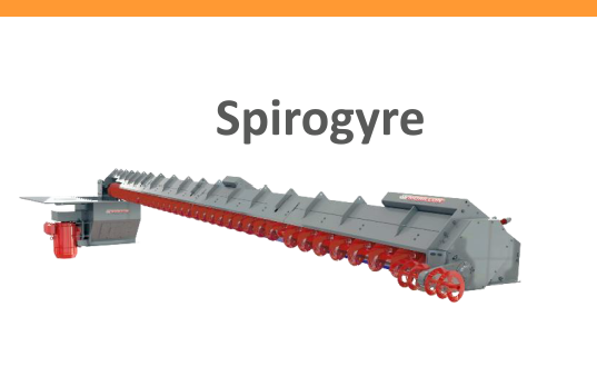 Morillon_SPIROGYRE2.PNG