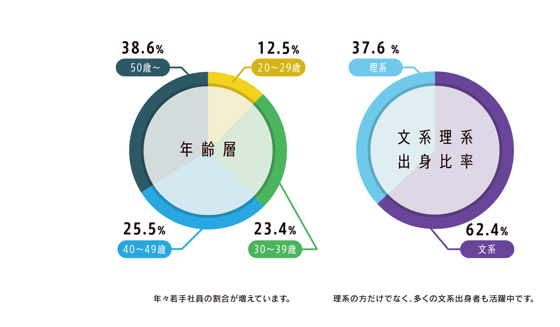 年齢層 文系理系出身比率